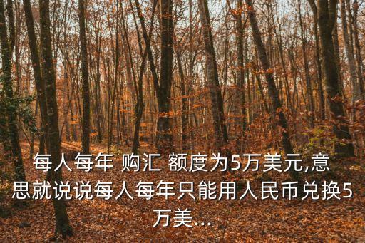 每人每年 購匯 額度為5萬美元,意思就說說每人每年只能用人民幣兌換5萬美...
