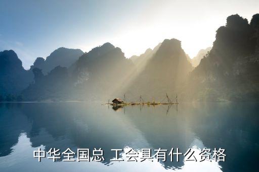 中華全國(guó)總 工會(huì)具有什么資格