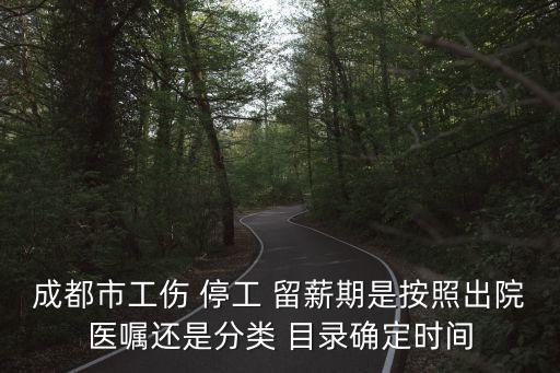 停工留薪期目錄,云南省工傷職工停工留薪期目錄