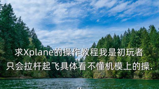 求Xplane的操作教程我是初玩者只會(huì)拉桿起飛具體看不懂機(jī)模上的操...