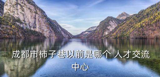 成都人才市場(chǎng)
