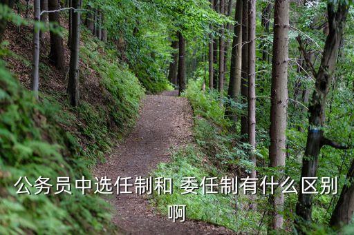 委任