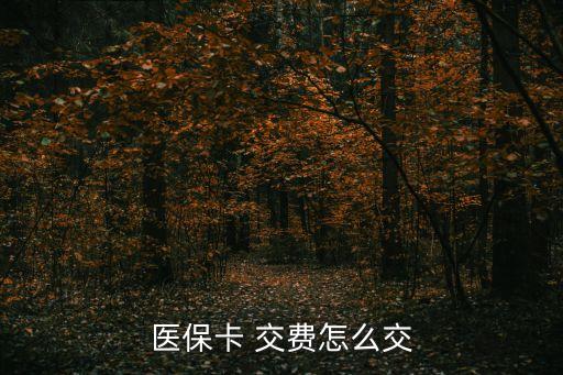 醫(yī)?？?交費怎么交