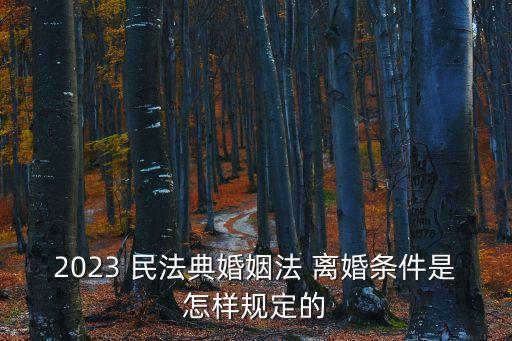 2023 民法典婚姻法 離婚條件是怎樣規(guī)定的