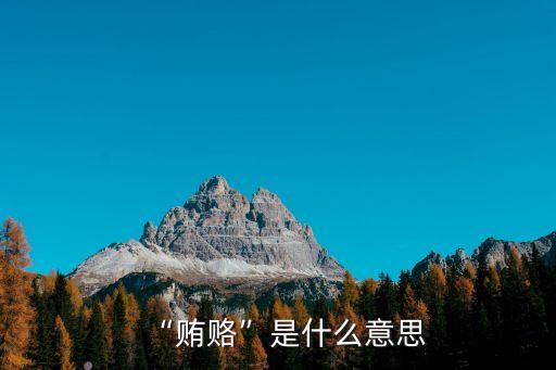 “賄賂”是什么意思