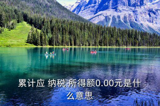 累計(jì)應(yīng) 納稅 所得額0.00元是什么意思