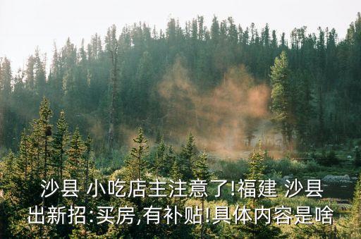 沙縣小吃的合同關(guān)系,沙二代和沙縣小吃的關(guān)系
