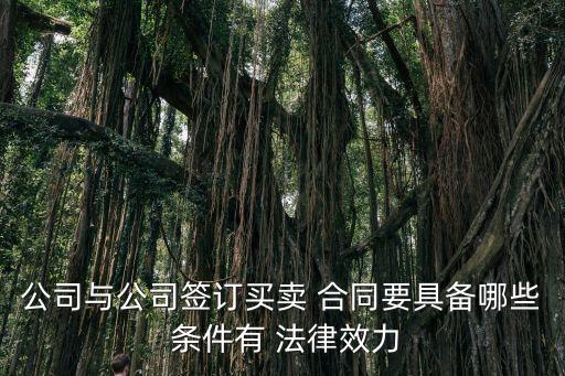 公司與公司簽訂買賣 合同要具備哪些 條件有 法律效力