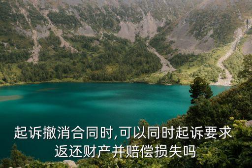 起訴撤消合同時,可以同時起訴要求 返還財產(chǎn)并賠償損失嗎