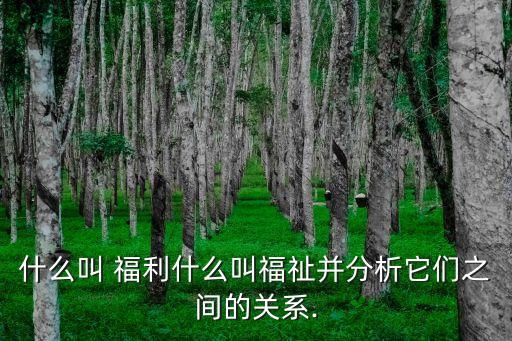 福利是什么意思,強(qiáng)國城兌福利是什么意思