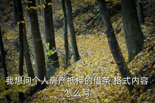 我想問個(gè)人房產(chǎn)抵押的借條,格式內(nèi)容怎么寫