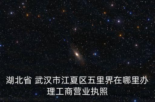 湖北省 武漢市江夏區(qū)五里界在哪里辦理工商營業(yè)執(zhí)照
