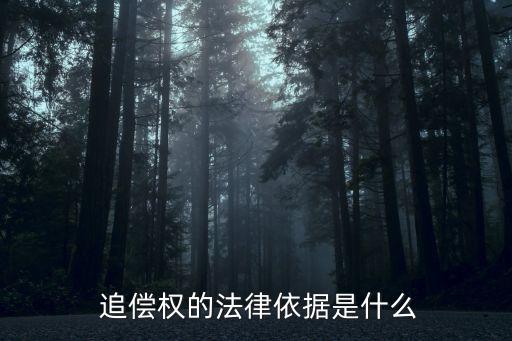  追償權(quán)的法律依據(jù)是什么