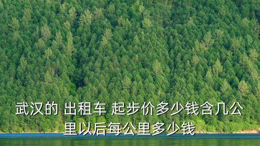 武漢的 出租車 起步價多少錢含幾公里以后每公里多少錢