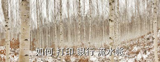 如何 打印 銀行 流水帳