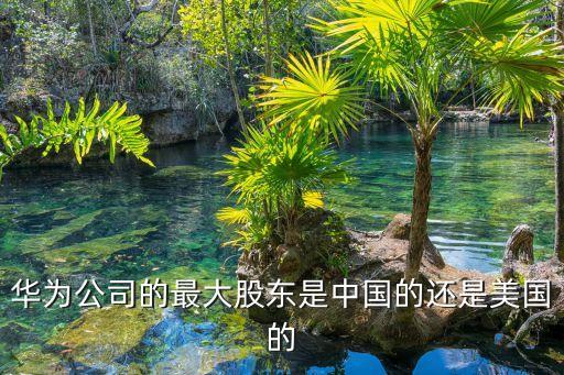 陳志東