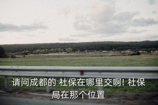 成華區(qū)社保局,成都市成華區(qū)社保局