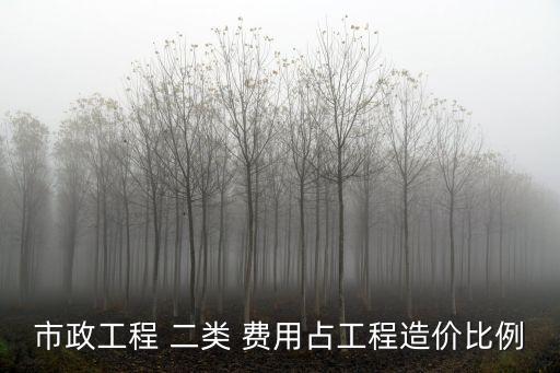 市政工程 二類 費(fèi)用占工程造價(jià)比例