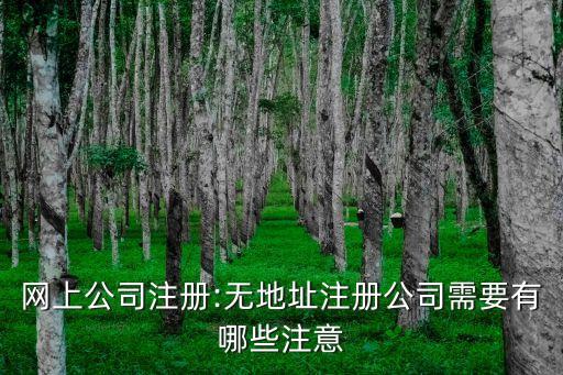 網(wǎng)上公司注冊:無地址注冊公司需要有哪些注意