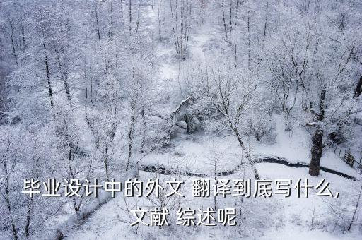 合同翻譯論文文獻綜述,翻譯論文文獻綜述范文3000字