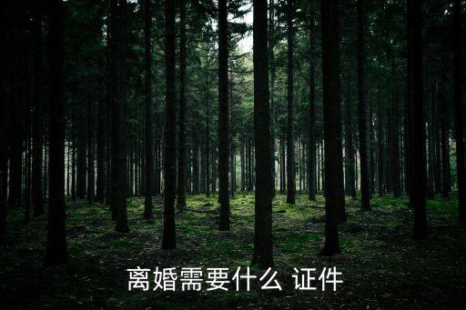  離婚需要什么 證件