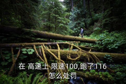 高速限速100