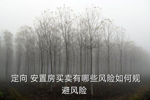 定向安置房,東城區(qū)騰退定向安置房