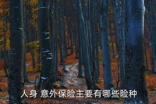  人身 意外保險主要有哪些險種