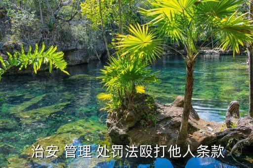 治安管理處罰法第二十六條