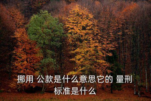  挪用 公款是什么意思它的 量刑 標(biāo)準(zhǔn)是什么