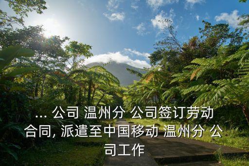 ... 公司 溫州分 公司簽訂勞動(dòng)合同, 派遣至中國(guó)移動(dòng) 溫州分 公司工作