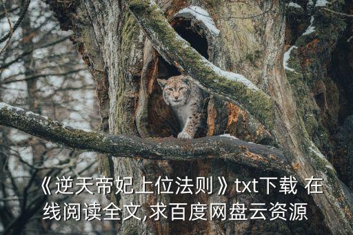 安國在線