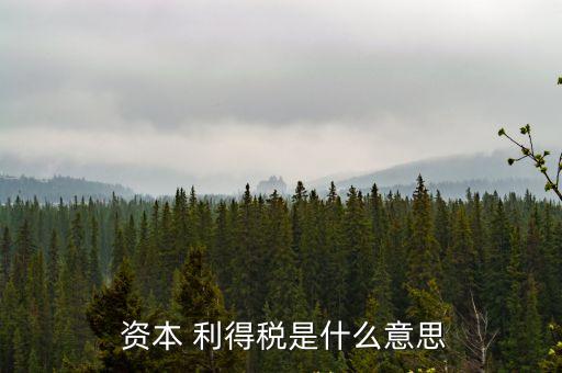 資本利得