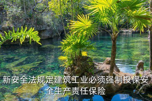 安全責(zé)任險