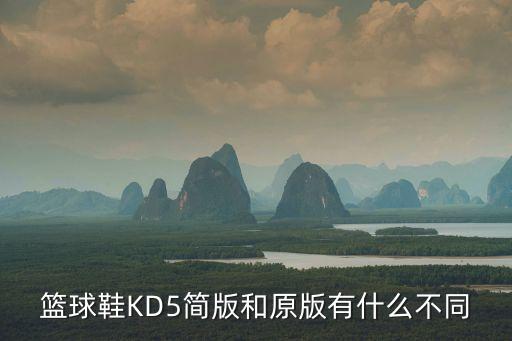 籃球鞋KD5簡版和原版有什么不同