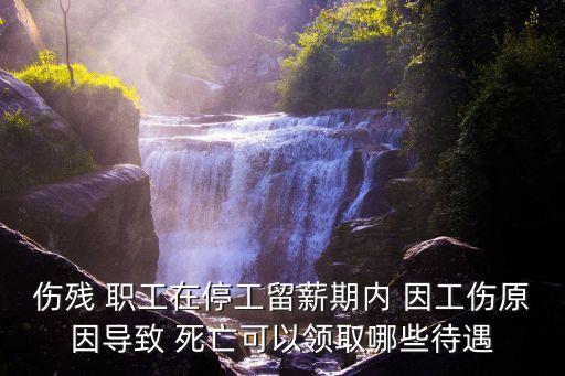 傷殘 職工在停工留薪期內(nèi) 因工傷原因?qū)е?死亡可以領(lǐng)取哪些待遇