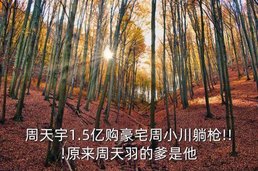 周天宇1.5億購豪宅周小川躺槍!!!原來周天羽的爹是他