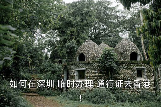 臨時(shí)港澳通行證