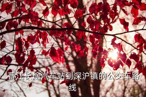  晉江長途汽車站到深滬鎮(zhèn)的公交車路線