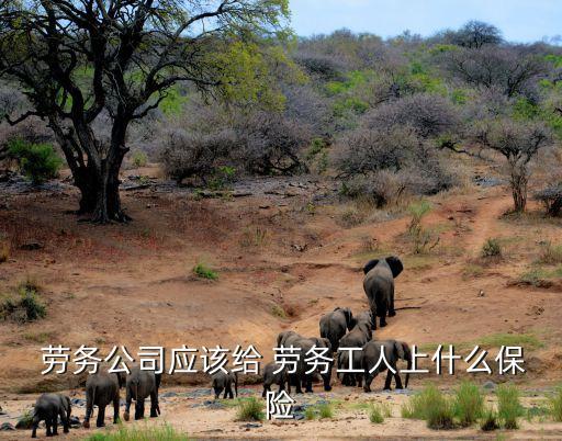 勞務(wù)合同保險標(biāo)準(zhǔn),員工不上保險怎么簽勞務(wù)合同