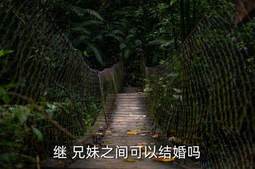 繼兄妹