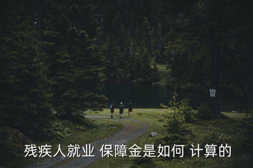  殘疾人就業(yè) 保障金是如何 計算的