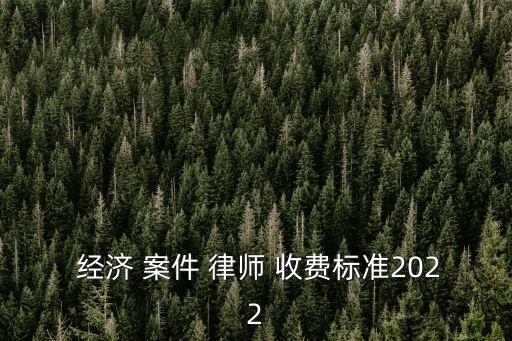  經(jīng)濟(jì) 案件 律師 收費(fèi)標(biāo)準(zhǔn)2022