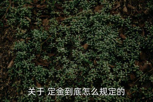 關于 定金到底怎么規(guī)定的