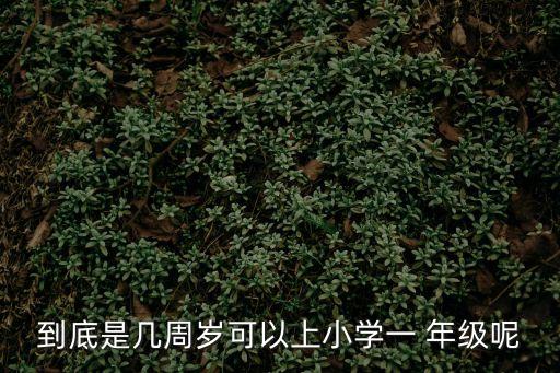 到底是幾周歲可以上小學一 年級呢