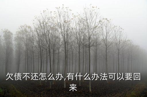欠錢不還怎么辦25元搞定,如何把被騙的錢從平臺(tái)提現(xiàn)