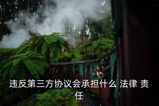 違反第三方協(xié)議會承擔什么 法律 責任