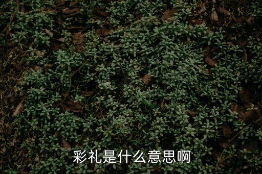 什么是彩禮