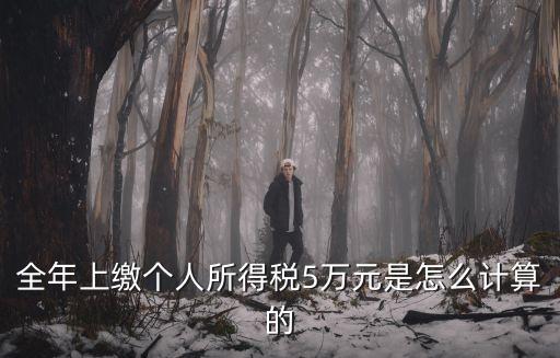 全年上繳個人所得稅5萬元是怎么計算的