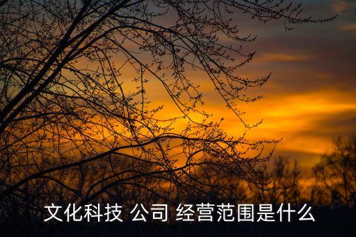  文化科技 公司 經(jīng)營(yíng)范圍是什么